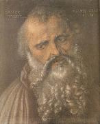 Head of the Apostle Philip Albrecht Durer